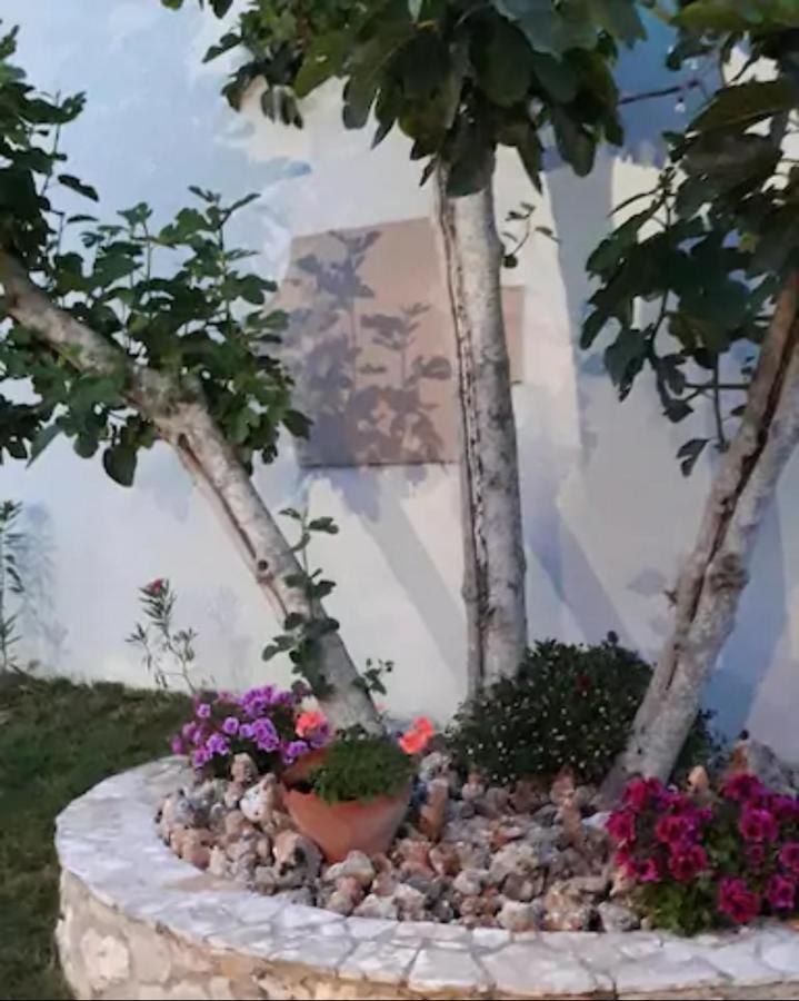 Domenica Apts II Λαγανάς Εξωτερικό φωτογραφία